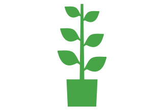 植木鉢