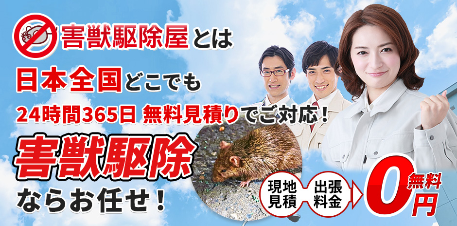 害獣駆除屋とは 日本全国どこでも 24時間365日 無料見積りでご対応! 害獣駆除ならお任せ!