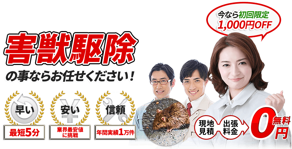 害獣駆除の事ならお任せください!最短5分,業界最安値に挑戦,現地見積・出張料金・0円無料