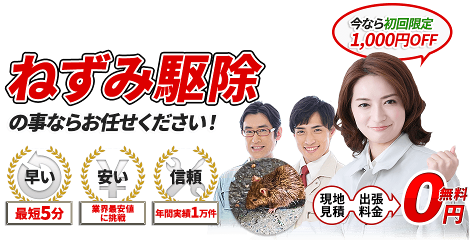 ねずみの事ならお任せください!最短5分,業界最安値に挑戦,現地見積・出張料金・0円無料