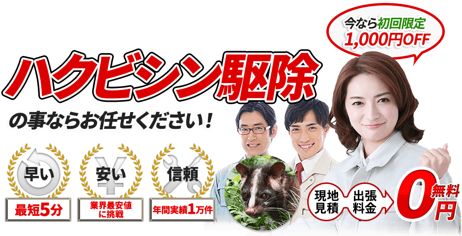 ハクビシンの事ならお任せください！最短5分,業界最安値に挑戦,現地見積・出張料金・0円無料