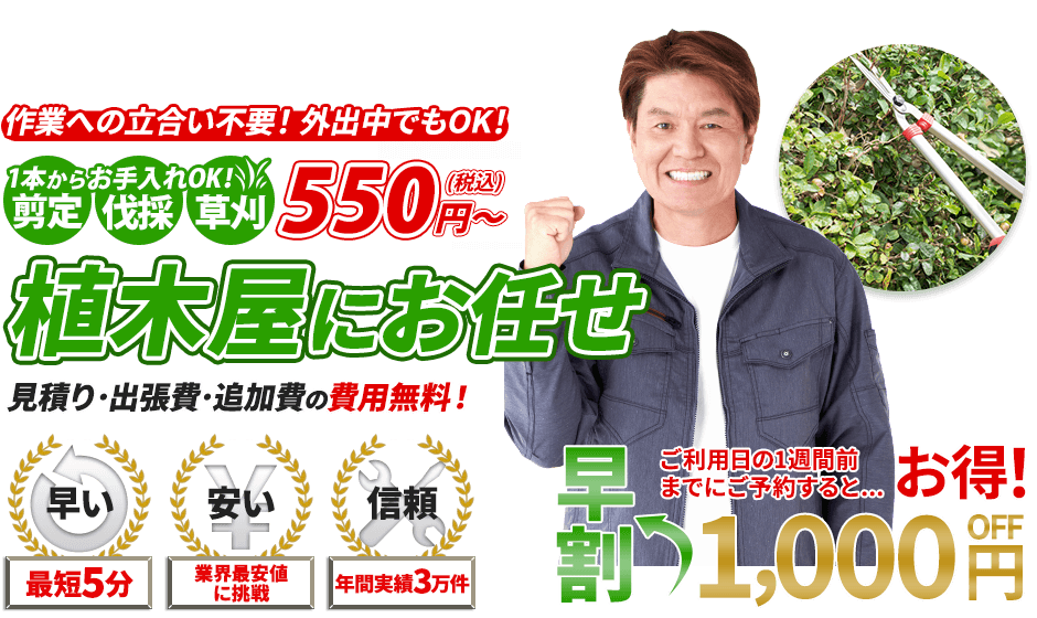 植木屋,1本からお手入れOK!剪定・伐採・草刈 550円～,お庭のお手入れ,見積り・出張費・追加費の費用無料！,最短5分,業界最安値に挑戦