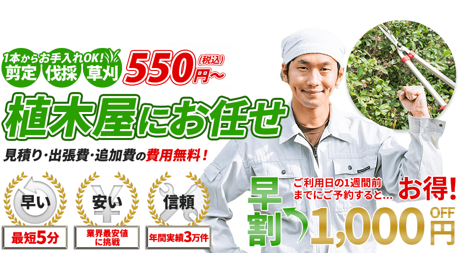 植木屋,1本からお手入れOK!剪定・伐採・草刈 550円~,お庭のお手入れ,見積り・出張費・追加費の費用無料!,最短5分,業界最安値に挑戦