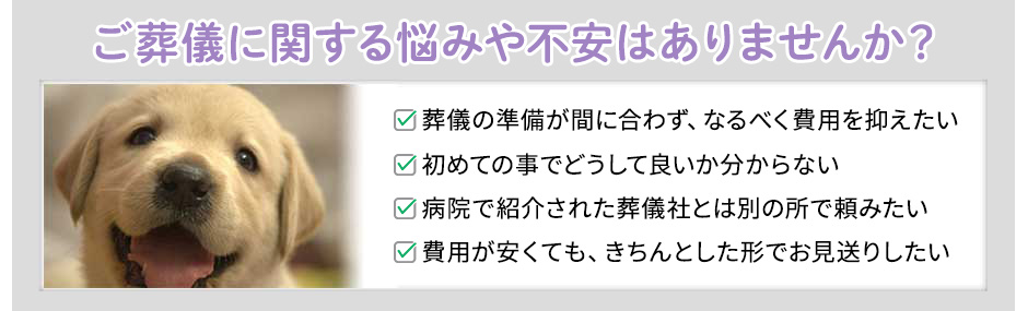 ご葬儀に関する悩みや不安はありませんか？・葬儀の準備が間に合わず、なるべく費用を抑えたい,・初めての事でどうして良いか分からない,・病院で紹介された葬儀社とは別の所で頼みたい,・費用が安くても、きちんとした形でお見送りしたい
