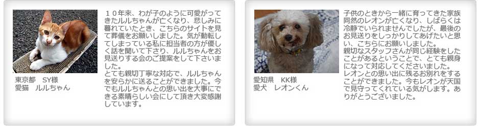 お客様の声