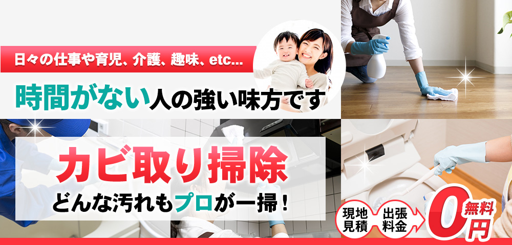 日々の仕事や育児、介護、趣味、etc... 時間がない人の強い味方です, カビ取り どんな汚れもプロが一掃! 現地見積・出張料金 0円無料